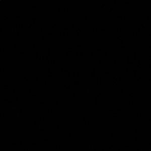 Meet your Posher, Alysha